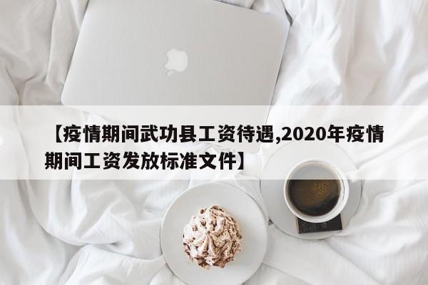 【疫情期间武功县工资待遇,2020年疫情期间工资发放标准文件】