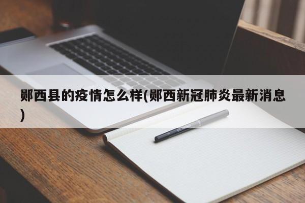 郧西县的疫情怎么样(郧西新冠肺炎最新消息)